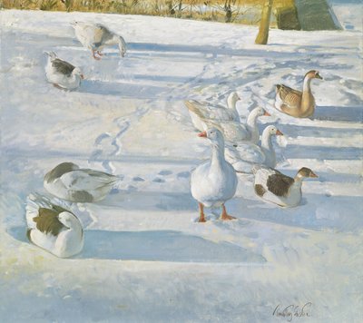 Resting on the Slope by Timothy Easton